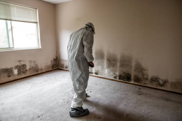 Mold Documentation for Insurance Claims in Atwater, CA